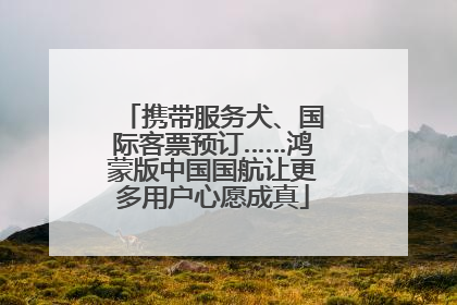 携带服务犬、国际客票预订……鸿蒙版中国国航让更多用户心愿成真