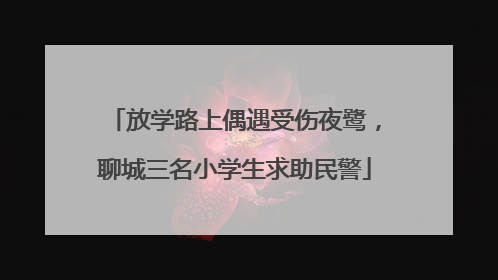 放学路上偶遇受伤夜鹭，聊城三名小学生求助民警