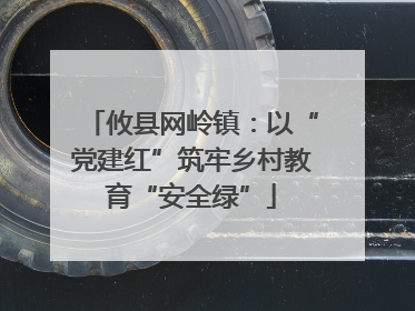 攸县网岭镇：以“党建红”筑牢乡村教育“安全绿”