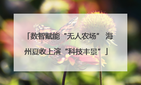 数智赋能“无人农场” 海州夏收上演“科技丰景”
