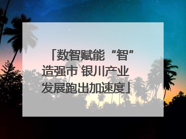 数智赋能“智”造强市 银川产业发展跑出加速度