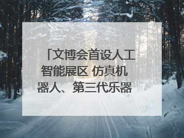 文博会首设人工智能展区 仿真机器人、第三代乐器成为人气王｜文博向“新”