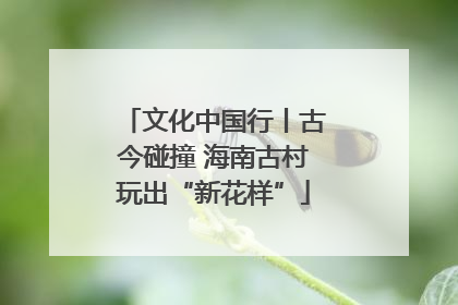 文化中国行丨古今碰撞 海南古村玩出“新花样”