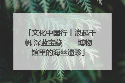 文化中国行丨浪起千帆 深蓝宝藏——博物馆里的海丝遗珍