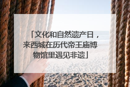 文化和自然遗产日，来西城在历代帝王庙博物馆里遇见非遗