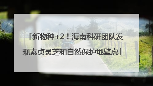 新物种+2！海南科研团队发现素贞灵芝和自然保护地壁虎