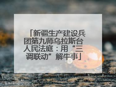 新疆生产建设兵团第九师乌拉斯台人民法庭：用“三调联动”解牛事
