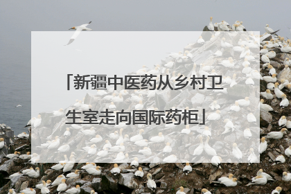 新疆中医药从乡村卫生室走向国际药柜