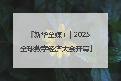 新华全媒+｜2025全球数字经济大会开幕
