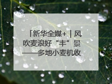 新华全媒+｜风吹麦浪好“丰”景——多地小麦机收一线见闻