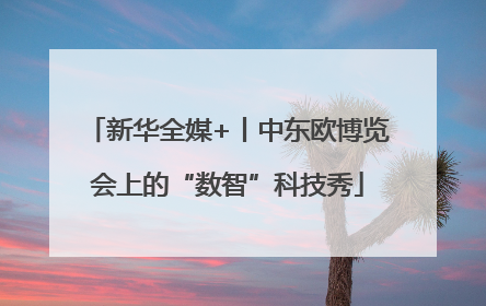 新华全媒+丨中东欧博览会上的“数智”科技秀
