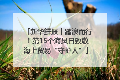 新华鲜报丨踏浪而行！第15个海员日致敬海上贸易“守护人”