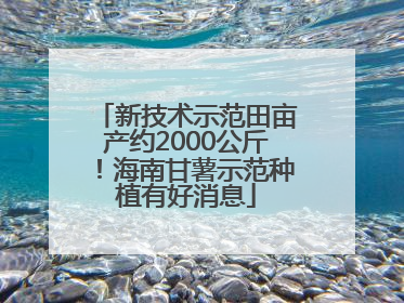 新技术示范田亩产约2000公斤！海南甘薯示范种植有好消息
