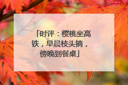 时评：樱桃坐高铁，早晨枝头摘，傍晚到餐桌