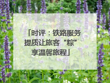 时评：铁路服务提质让旅客“粽”享温馨旅程