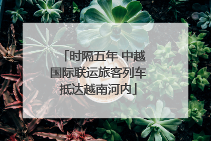时隔五年 中越国际联运旅客列车抵达越南河内