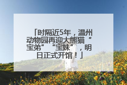 时隔近5年，温州动物园再迎大熊猫“宝弟”“宝妹”，明日正式开馆！