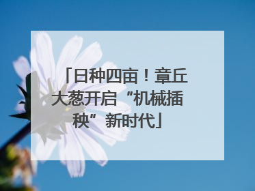 日种四亩！章丘大葱开启“机械插秧”新时代