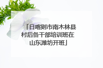 日喀则市南木林县村后备干部培训班在山东潍坊开班