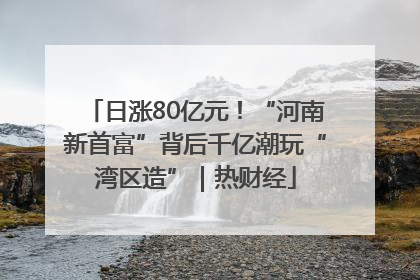 日涨80亿元！“河南新首富”背后千亿潮玩“湾区造”｜热财经