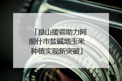 昆山援疆助力阿图什市盐碱地玉米种植实现新突破