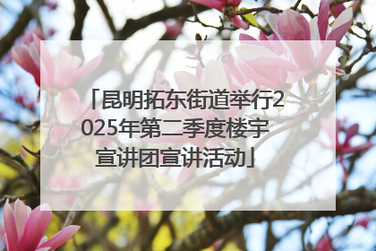 昆明拓东街道举行2025年第二季度楼宇宣讲团宣讲活动