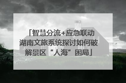 智慧分流+应急联动 湖南文旅系统探讨如何破解景区“人海”困局