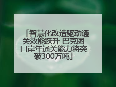 智慧化改造驱动通关效能跃升 巴克图口岸年通关能力将突破300万吨