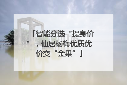 智能分选“提身价”，仙居杨梅优质优价变“金果”