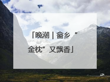 晚潮｜畲乡“金枕”又飘香