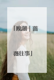 晚潮｜蔷薇往事