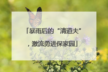 暴雨后的“清道夫”，激流勇进保家园