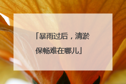 暴雨过后，清淤保畅难在哪儿