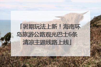 暑期玩法上新！海南环岛旅游公路观光巴士6条清凉主题线路上线