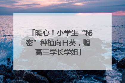 暖心！小学生“秘密”种植向日葵，赠高三学长学姐
