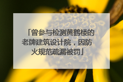 曾参与检测黄鹤楼的老牌建筑设计院，因防火规范疏漏被罚