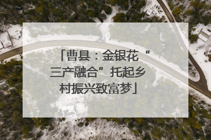 曹县：金银花“三产融合”托起乡村振兴致富梦