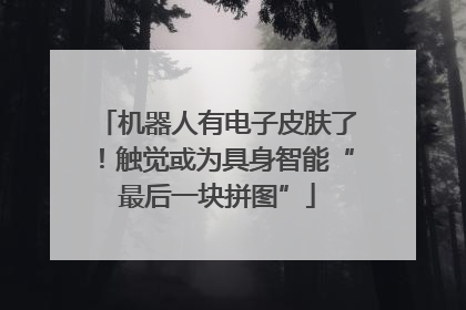 机器人有电子皮肤了！触觉或为具身智能“最后一块拼图”
