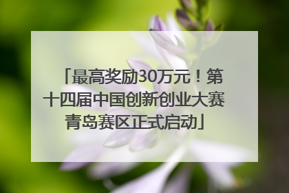 最高奖励30万元！第十四届中国创新创业大赛青岛赛区正式启动