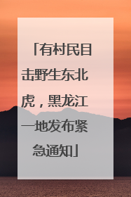 有村民目击野生东北虎，黑龙江一地发布紧急通知