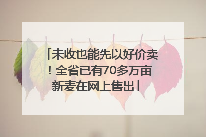 未收也能先以好价卖！全省已有70多万亩新麦在网上售出