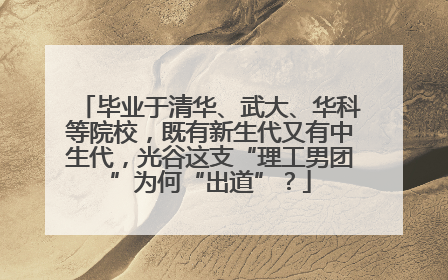 毕业于清华、武大、华科等院校，既有新生代又有中生代，光谷这支“理工男团”为何“出道”？