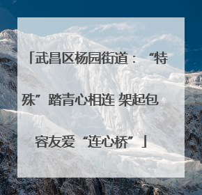武昌区杨园街道：“特殊”踏青心相连 架起包容友爱“连心桥”