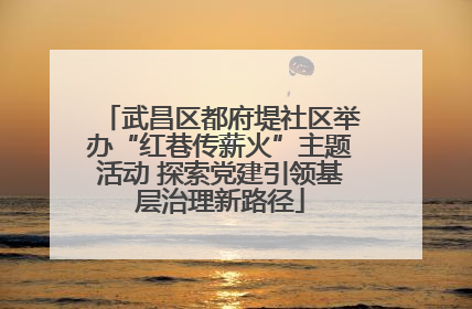 武昌区都府堤社区举办“红巷传薪火”主题活动 探索党建引领基层治理新路径