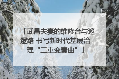 武昌夫妻的维修台与巡逻路 书写新时代基层治理“三重变奏曲”