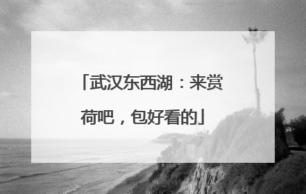 武汉东西湖：来赏荷吧，包好看的