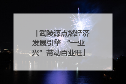 武陵源点燃经济发展引擎 “一业兴”带动百业旺