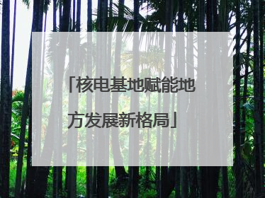核电基地赋能地方发展新格局