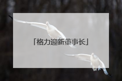 格力迎新董事长