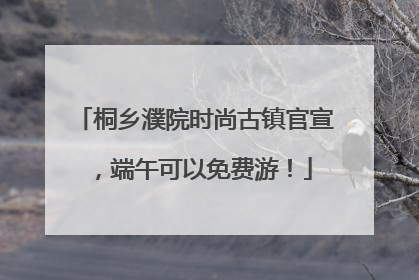 桐乡濮院时尚古镇官宣，端午可以免费游！